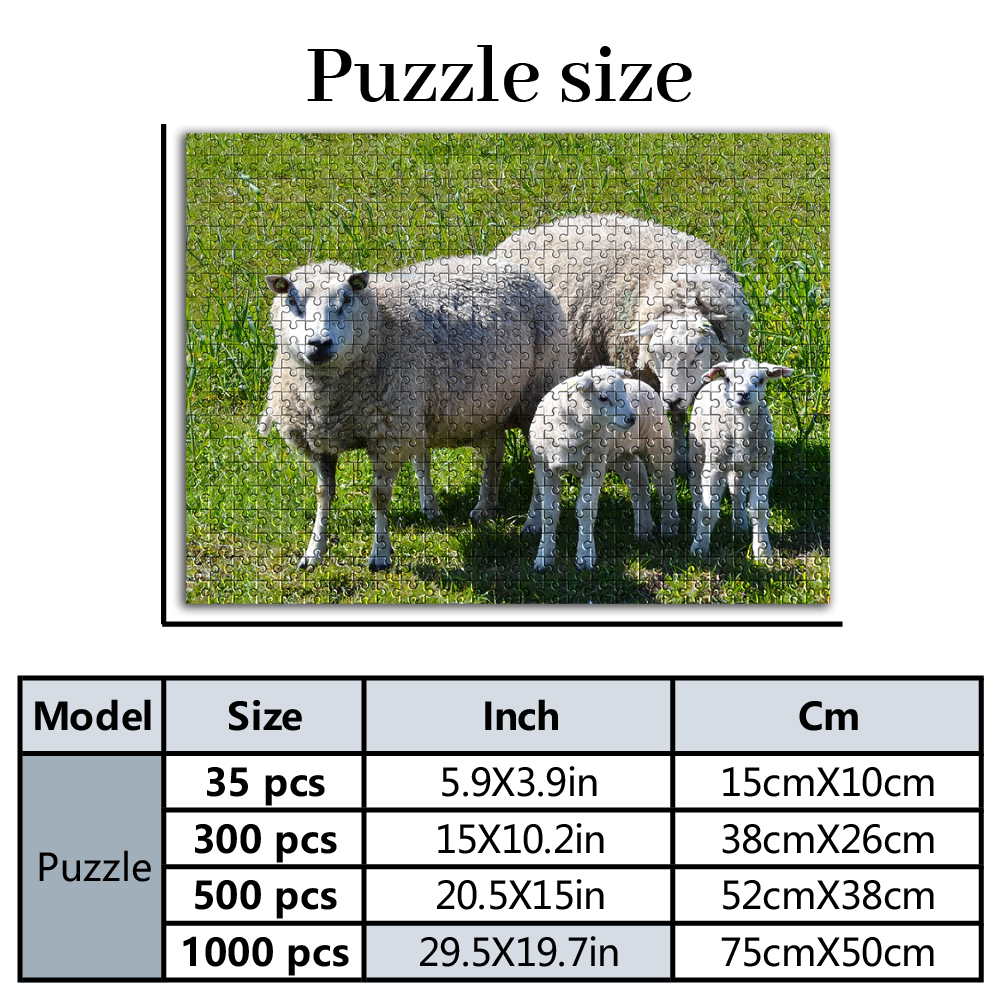 35/300/500/1000pcs Personalize - đánh giá và giá Home Decor Pt