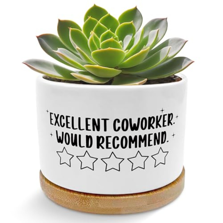 Coworker Gifts for Women Men P - đánh giá và giá Succulent Planter Pot
