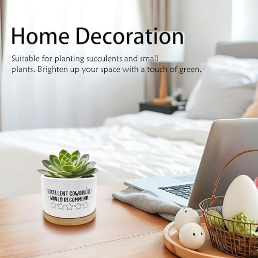 Coworker Gifts for Women Men P - đánh giá và giá Succulent Planter Pot