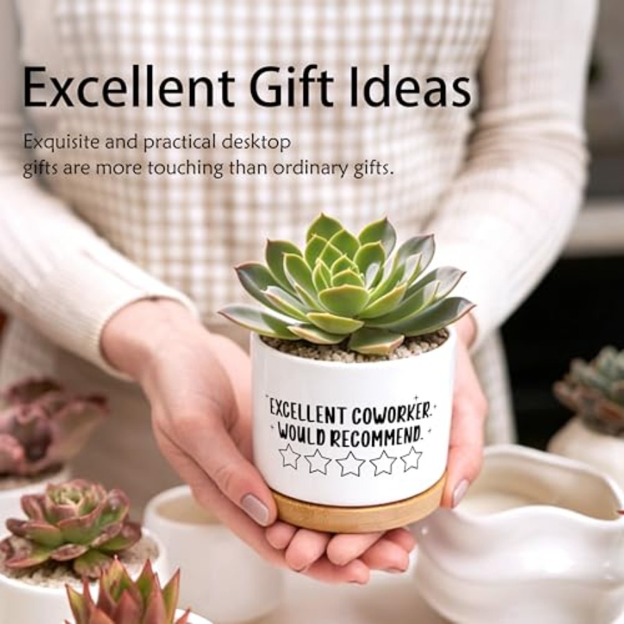 Coworker Gifts for Women Men P - đánh giá và giá Succulent Planter Pot
