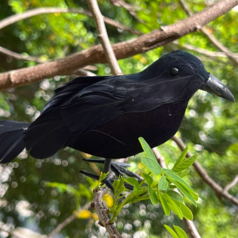 1PC Black Crow Halloween Decor - đánh giá và giá Home Decor In