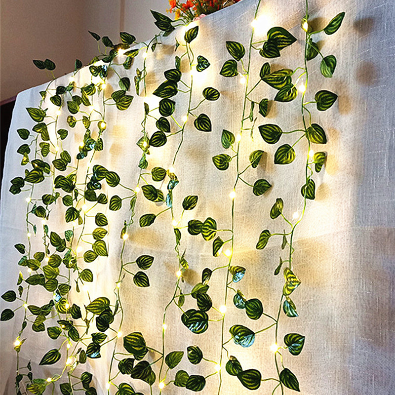LED Wedding String Lights Batt - đánh giá và giá Fairy Lights Bedroom