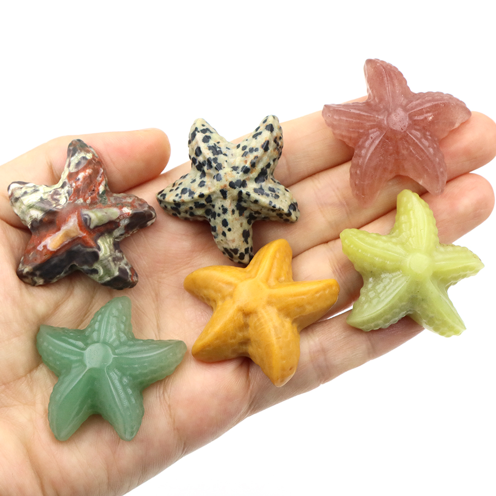 35mm Starfish Shape Statue Mar - đánh giá và giá Home Decor Nz
