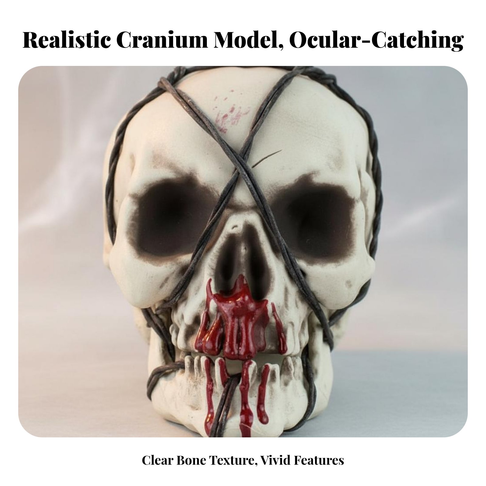 Realistic Skull Model Horror T - đánh giá và giá Home Decor In