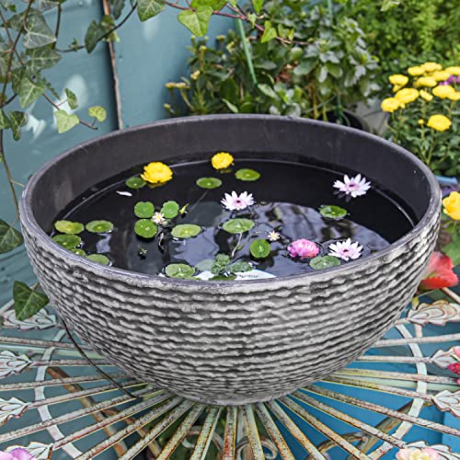 Ash Black Resin Outdoor Low Bo - đánh giá và giá Succulent Planter Pot