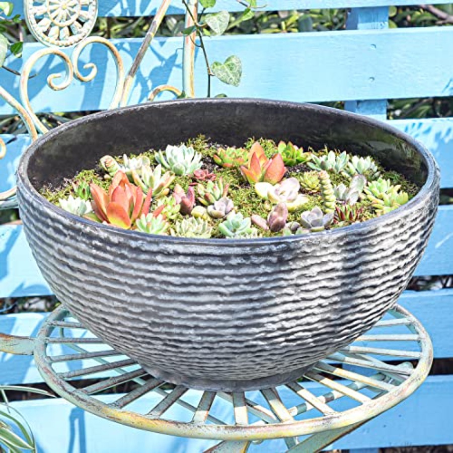 Ash Black Resin Outdoor Low Bo - đánh giá và giá Succulent Planter Pot
