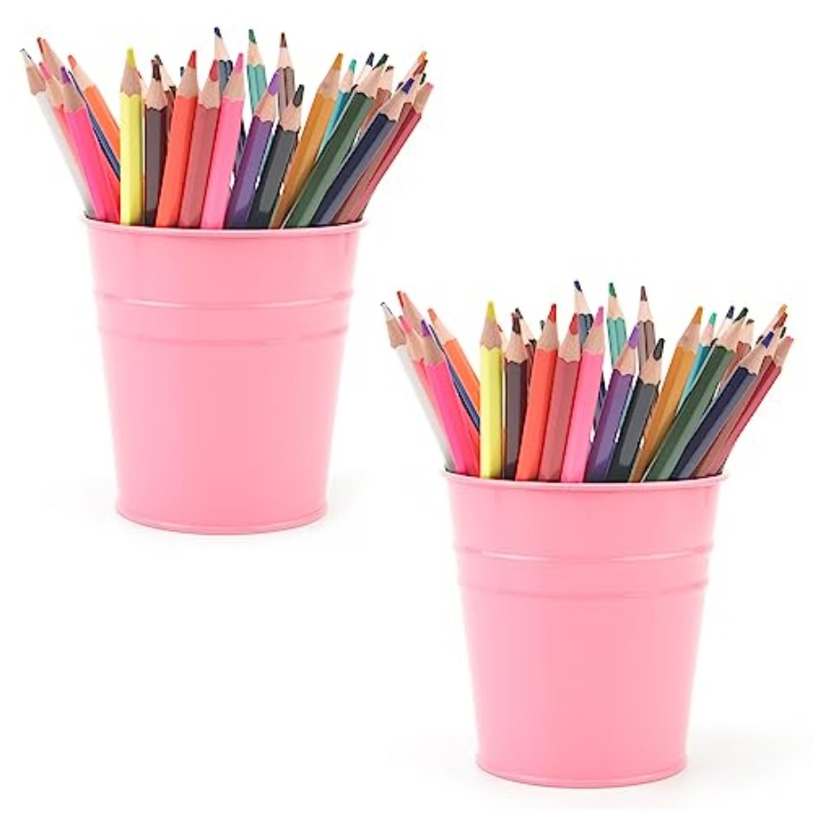 Pen Holder Cup For Desk Pencil - đánh giá và giá Succulent Planter Pot